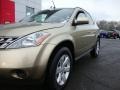 2007 Chardonnay Metallic Nissan Murano S AWD  photo #9