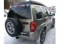 Light Khaki Metallic - Liberty Renegade 4x4 Photo No. 11