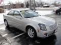 Light Platinum - CTS Sedan Photo No. 3