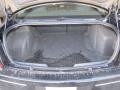 Dark Slate Gray Trunk Photo for 2009 Chrysler 300 #42919478