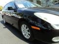 Black Onyx - ES 300 Photo No. 2