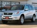 Titanium Metallic - RAV4 4WD Photo No. 2