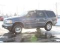 Medium Wedgewood Blue Metallic - Expedition Eddie Bauer 4x4 Photo No. 5