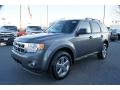 2010 Sterling Grey Metallic Ford Escape XLT V6 4WD  photo #5