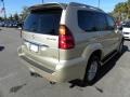 Savannah Beige Metallic - GX 470 Photo No. 14