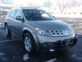 Polished Pewter Metallic - Murano SL AWD Photo No. 2