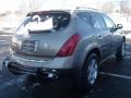 Polished Pewter Metallic - Murano SL AWD Photo No. 3