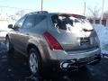 Polished Pewter Metallic - Murano SL AWD Photo No. 4