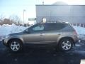 Polished Pewter Metallic - Murano SL AWD Photo No. 9