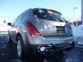 Polished Pewter Metallic - Murano SL AWD Photo No. 13