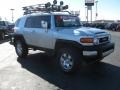 Titanium Metallic - FJ Cruiser  Photo No. 3