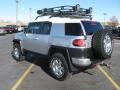 Titanium Metallic - FJ Cruiser  Photo No. 7