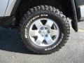 Titanium Metallic - FJ Cruiser  Photo No. 18