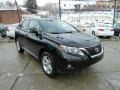 2010 Obsidian Black Lexus RX 350 AWD  photo #5