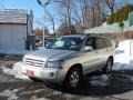 Millenium Silver Metallic - Highlander V6 4WD Photo No. 3