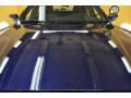 2005 Dark Blue Pearl Metallic Ford Crown Victoria Police Interceptor  photo #17