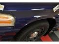 2005 Dark Blue Pearl Metallic Ford Crown Victoria Police Interceptor  photo #19