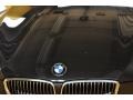 2007 Black Sapphire Metallic BMW 3 Series 328xi Coupe  photo #21