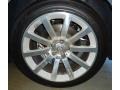 Silver Steel Metallic - 300 C SRT8 Photo No. 46