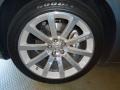 Silver Steel Metallic - 300 C SRT8 Photo No. 47