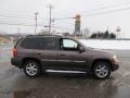 Medium Brown Metallic - Envoy SLT 4x4 Photo No. 7
