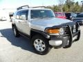 Titanium Metallic - FJ Cruiser 4WD Photo No. 1
