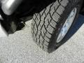 Titanium Metallic - FJ Cruiser 4WD Photo No. 18