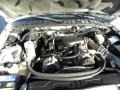  2002 S10 LS Extended Cab 4.3 Liter OHV 12-Valve Vortec V6 Engine