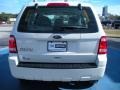 2010 White Suede Ford Escape XLS  photo #4