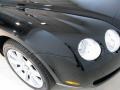 Beluga - Continental GTC  Photo No. 23