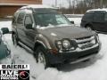 Granite Metallic - Xterra XE 4x4 Photo No. 1