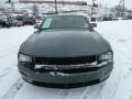 Dark Highland Green Metallic - Mustang Bullitt Coupe Photo No. 6