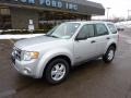 Silver Metallic 2008 Ford Escape XLS 4WD Exterior