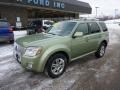 Kiwi Green - Mariner V6 Premier 4WD Photo No. 8