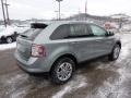 Pewter Metallic - Edge SEL AWD Photo No. 4