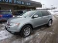Pewter Metallic - Edge SEL AWD Photo No. 8