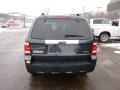 2008 Black Pearl Slate Metallic Ford Escape Limited 4WD  photo #3