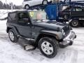 Steel Blue Metallic - Wrangler Sahara 4x4 Photo No. 6