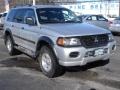 Munich Silver Metallic - Montero Sport LS 4x4 Photo No. 3