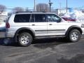 Munich Silver Metallic - Montero Sport LS 4x4 Photo No. 7
