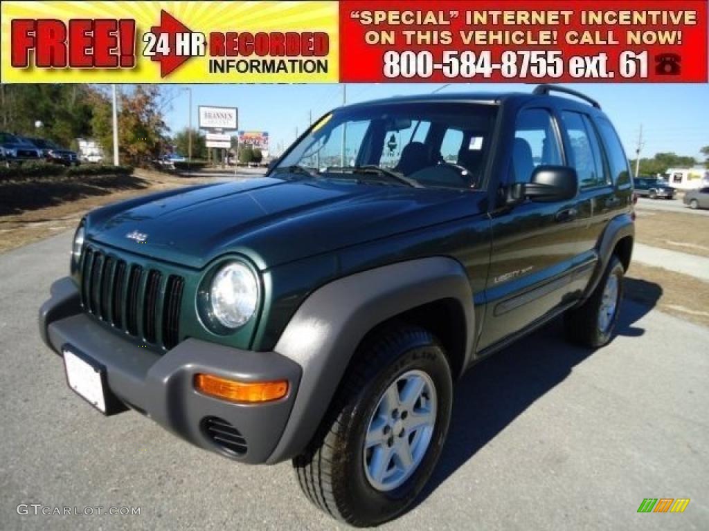 2002 Liberty Sport 4x4 - Shale Green Metallic / Dark Slate Gray photo #1