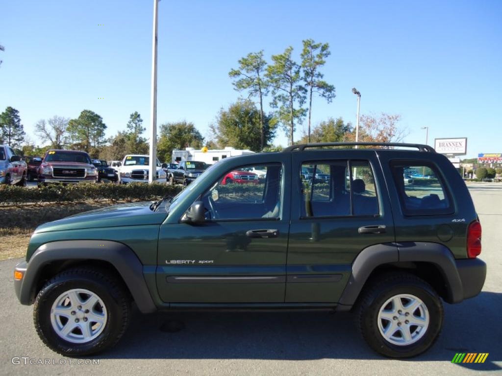 2002 Liberty Sport 4x4 - Shale Green Metallic / Dark Slate Gray photo #2