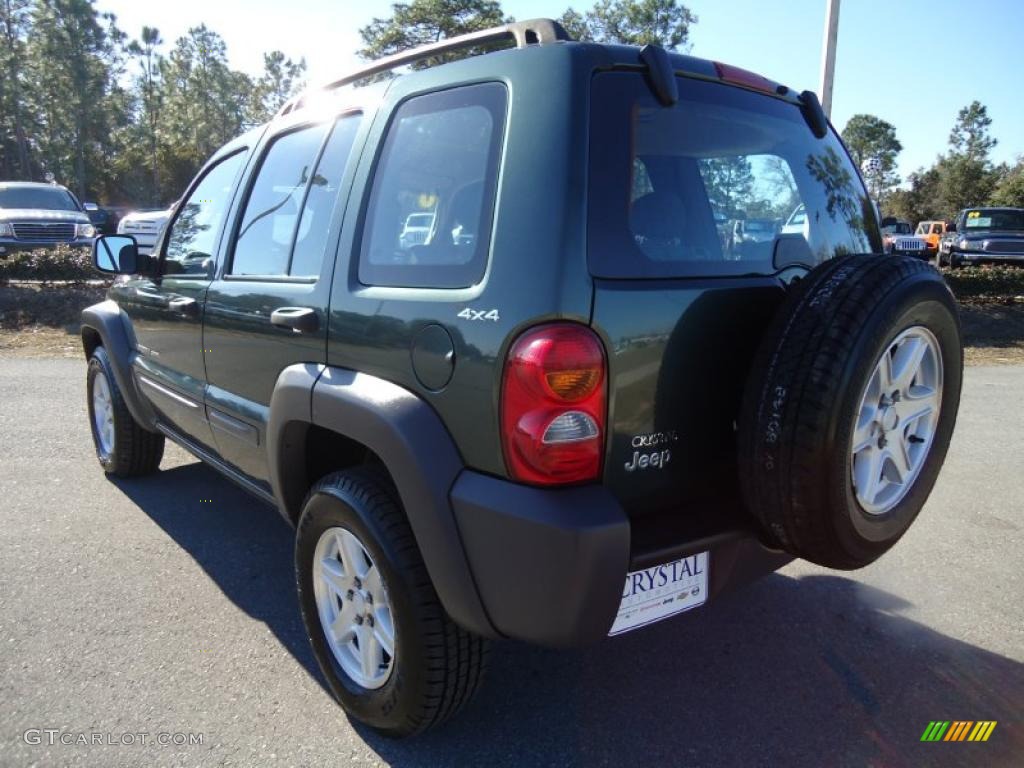 2002 Liberty Sport 4x4 - Shale Green Metallic / Dark Slate Gray photo #3
