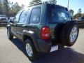 2002 Shale Green Metallic Jeep Liberty Sport 4x4  photo #3