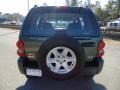 2002 Shale Green Metallic Jeep Liberty Sport 4x4  photo #11
