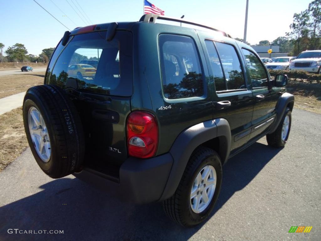 2002 Liberty Sport 4x4 - Shale Green Metallic / Dark Slate Gray photo #12