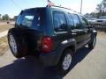 2002 Shale Green Metallic Jeep Liberty Sport 4x4  photo #12