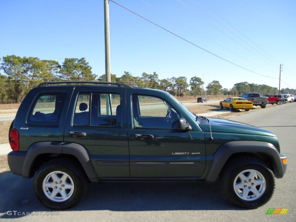 2002 Liberty Sport 4x4 - Shale Green Metallic / Dark Slate Gray photo #13