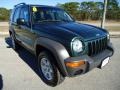 2002 Shale Green Metallic Jeep Liberty Sport 4x4  photo #14