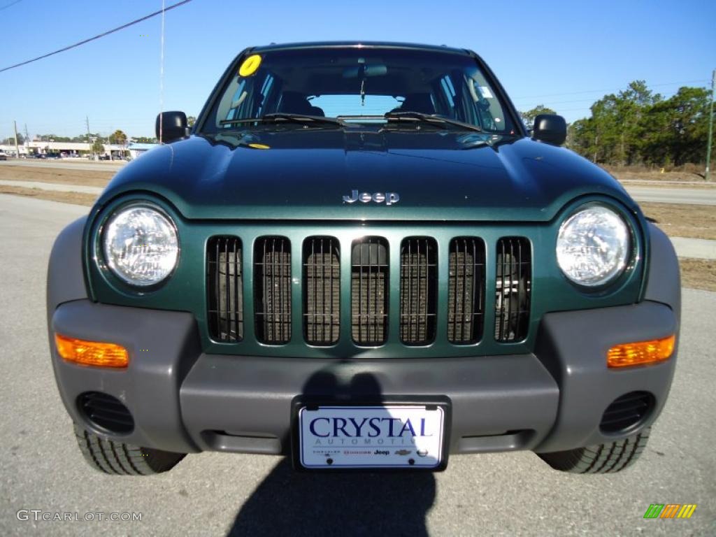 2002 Liberty Sport 4x4 - Shale Green Metallic / Dark Slate Gray photo #21